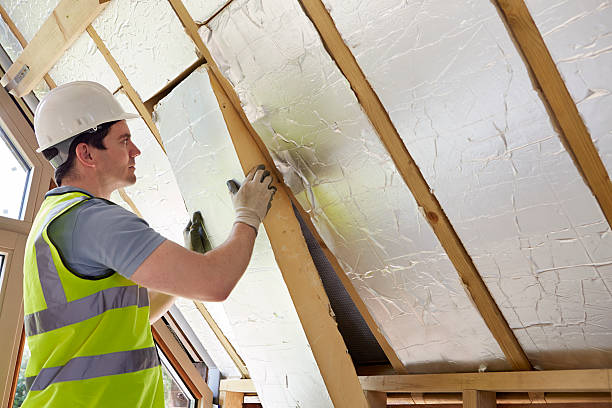 Best Specialized Insulation Services in USA